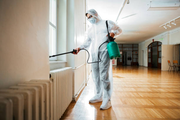 Best Real Estate Pest Inspections  in Clifton, TN